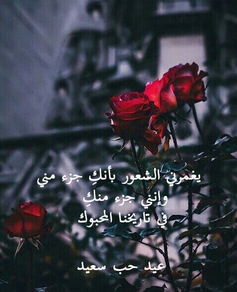 رسائل عيد الحب قصير
