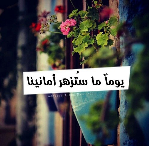 عبارات سناب شات حلوه بالصور ٤