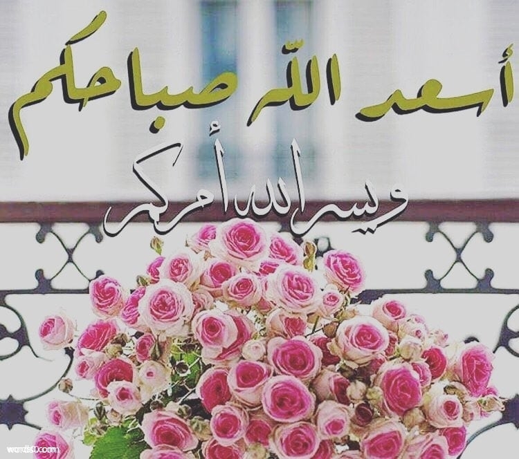 ملصقات سناب كلام صباح ٤