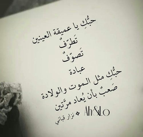 نسخ عبارات للسناب