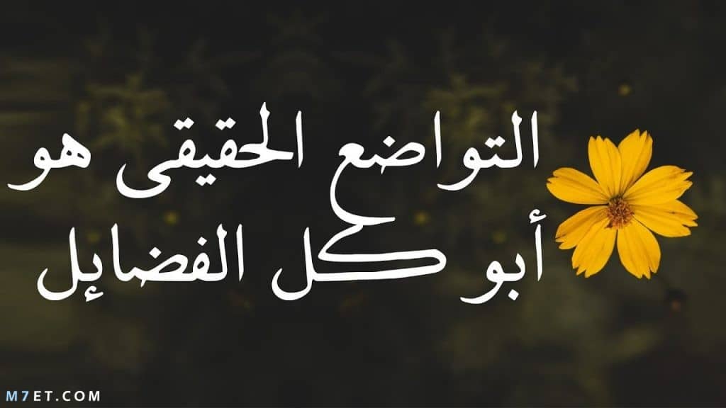 عبارات سناب شات قصيرة بالصور ٣