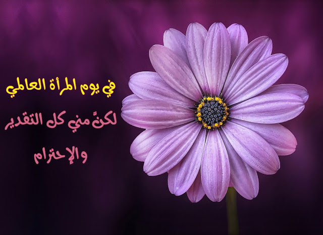 أجمل تهنئة عيد المرأة 8 مارس بالصور ١