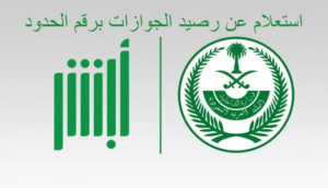استعلام عن رصيد الجوازات برقم الحدود