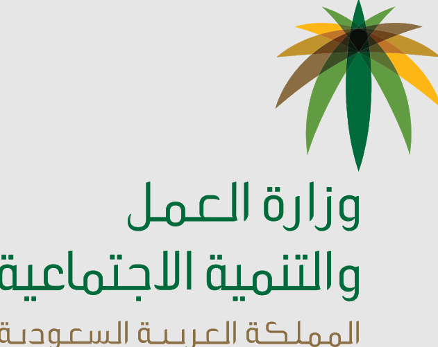 استعلام عن موظف وافد