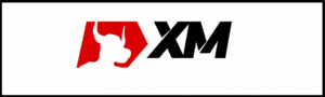 تجربتي مع شركة xm