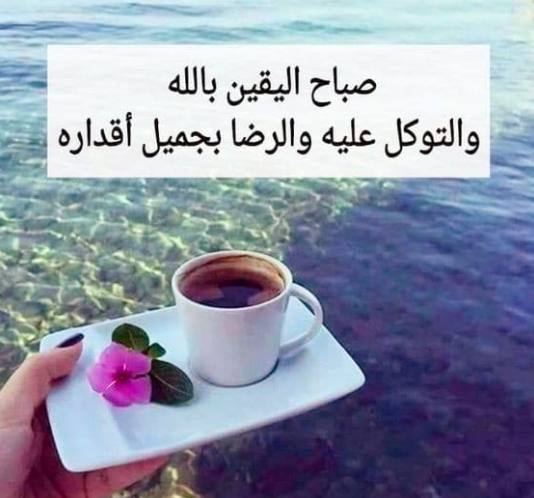 بوستات صباح الخير للاصدقاء 1