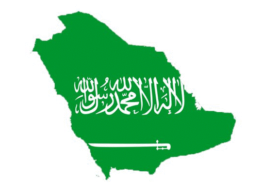 مجلس الضمان الصحي استعلام عن شكوى