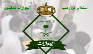استعلام عن رصيد الجوازات للمقيمين