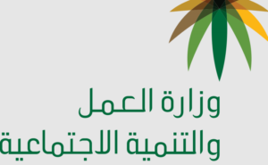استعلام عن موظف وافد