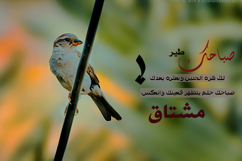 رسائل صباحية للحبيب