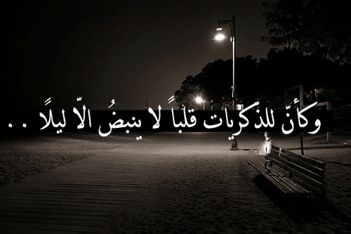 خواطر عن الليل والحب
