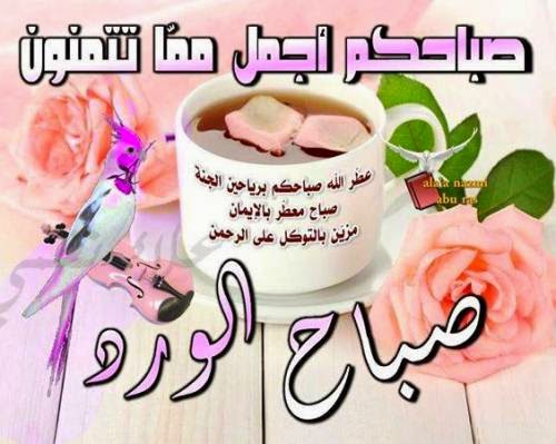 كلام عن الصباح للحبيب