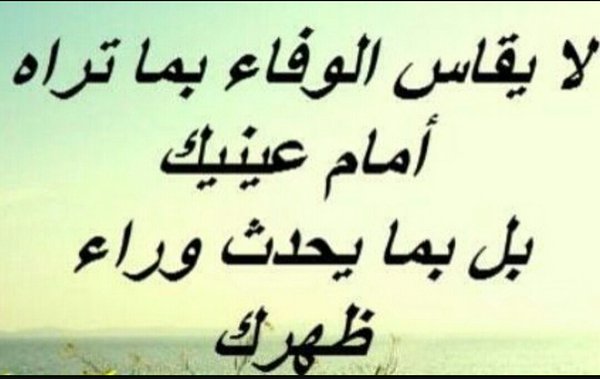 خواطر عن الوفاء بالصور ١