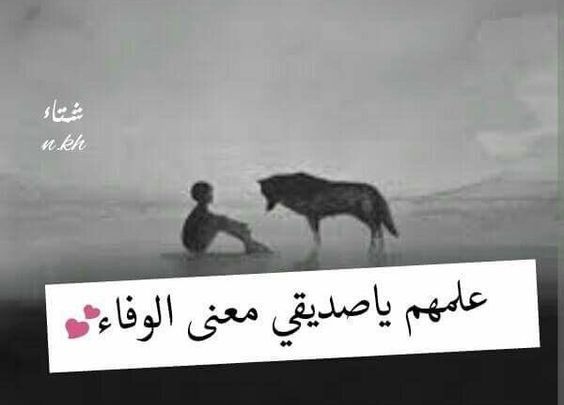 خواطر عن الوفاء بالصور ٢