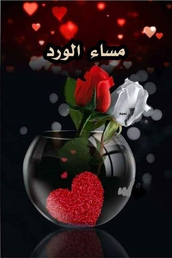 بوستات مساء الخير رومانسية 5