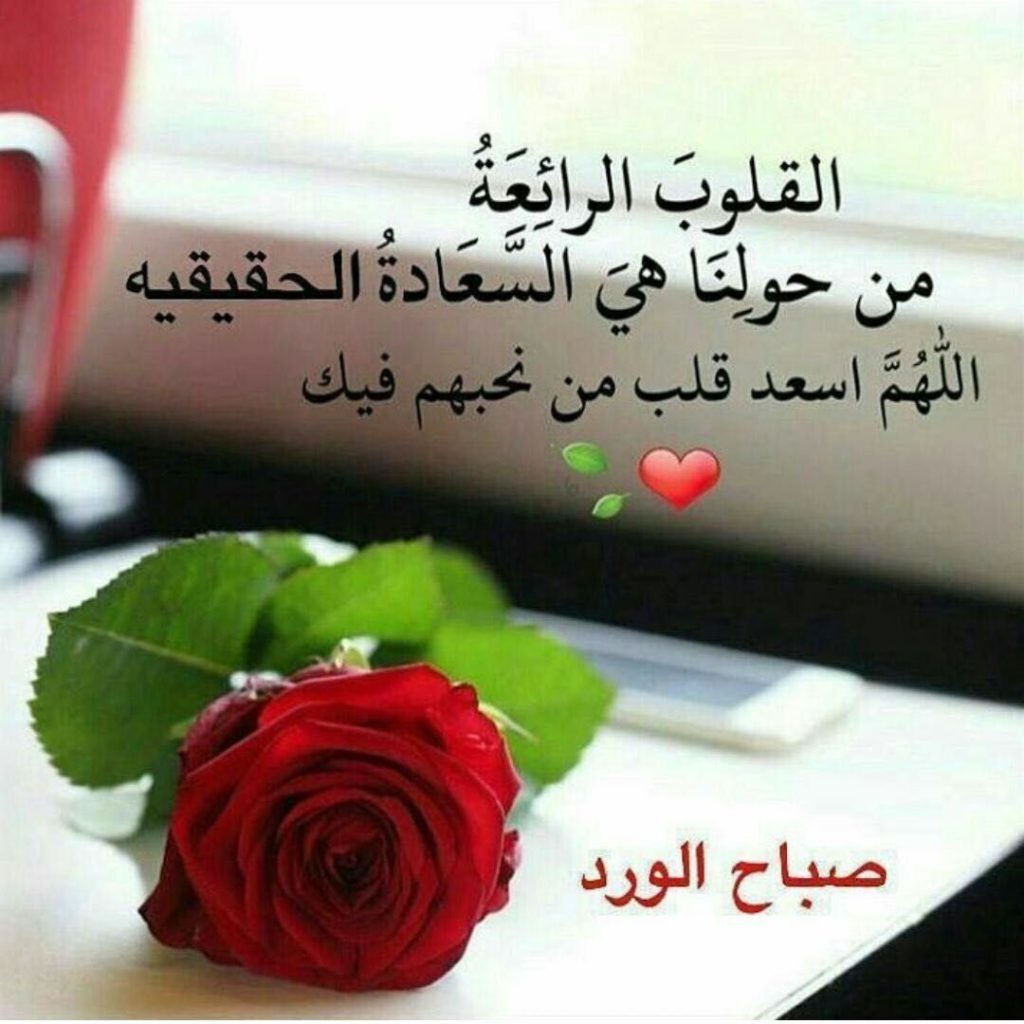 أجمل كلام رومانسي يقال في الصباح للحبيبة
