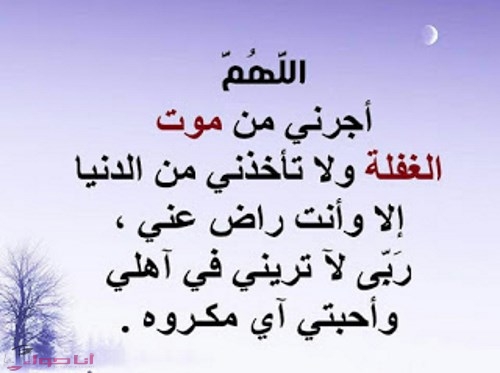 دعاء رمضان بالصور ١