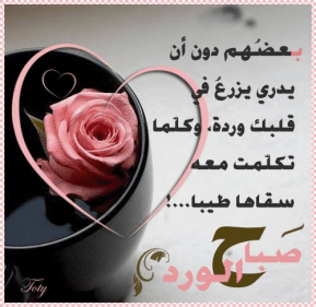 بوستات صباح الخير للاصدقاء 6