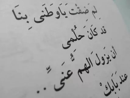 خواطر عن الوطن بالصور ٤