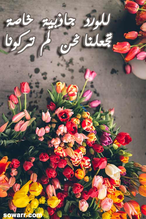 خواطر عن الورد والشوك 2021