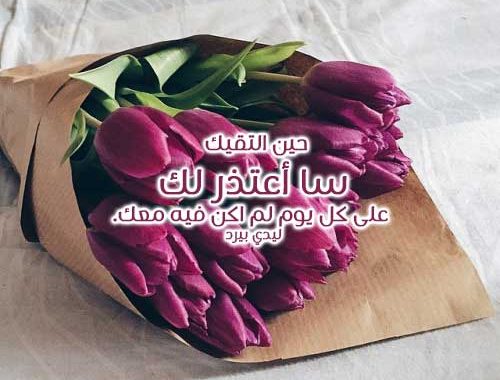 كلام يقال للحبيب يالصور ٢