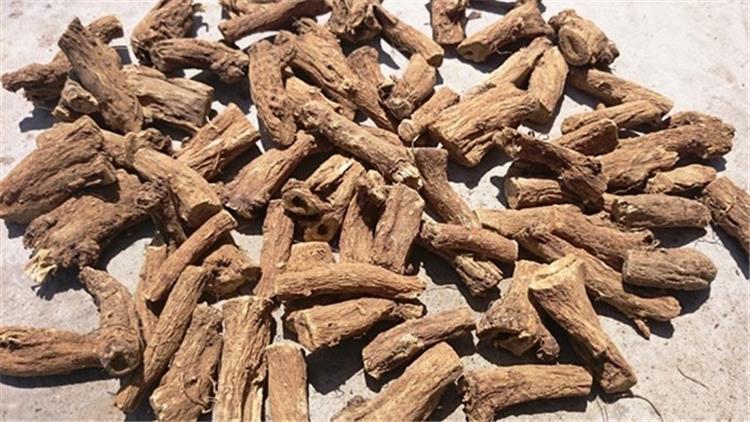 أفضل طريقة لاستخدام القسط الهندي للغدة الدرقية