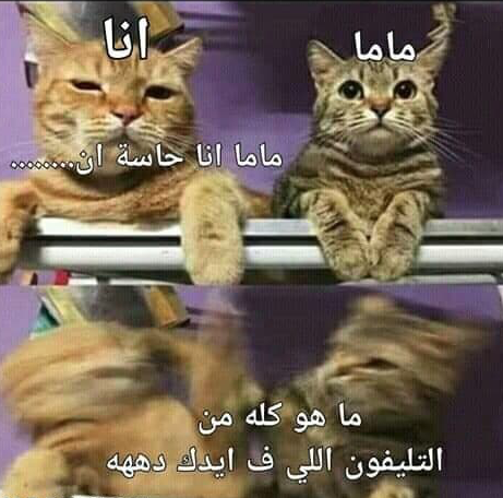 نكت 2021