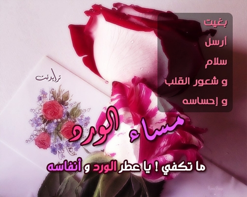 مساء الخير حبيبي مسجات