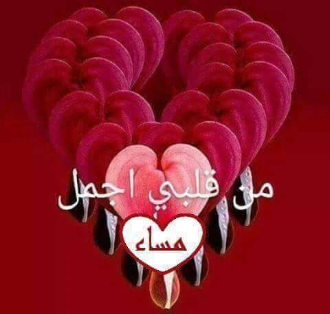 الصور مساء الخير رومانسية 6