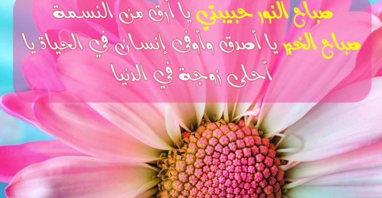 رسائل صباح الخير حبيبي الغالي