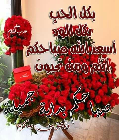 كلام صباح الخير للجميع