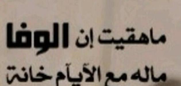 خواطر عن الوفاء بالصور ٦