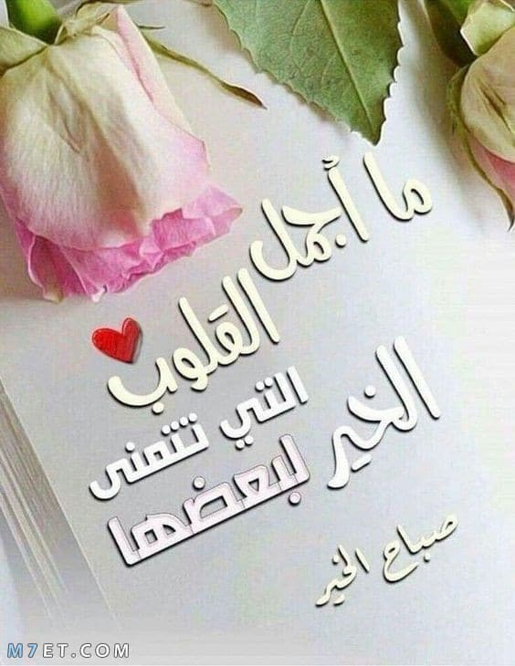 صباح الحب للحبيب