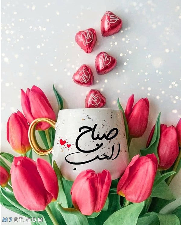 صباح الحب