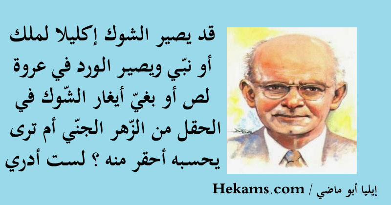 خواطر الشوك