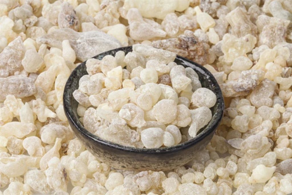تجربتي مع شرب ماء اللبان