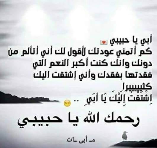 عام جديد وابي تحت التراب