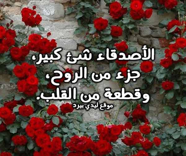 كلام محفز للأصدقاء