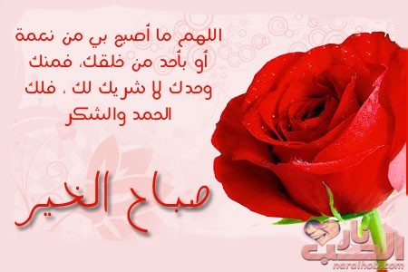 رسائل صباحية للحبيب بالصور ٥