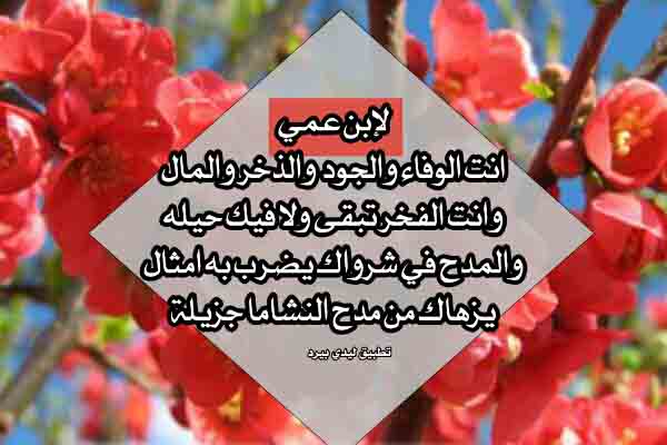 قصيدة يا ابن عمي