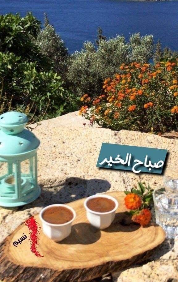 إشراقة الصباح الجميل