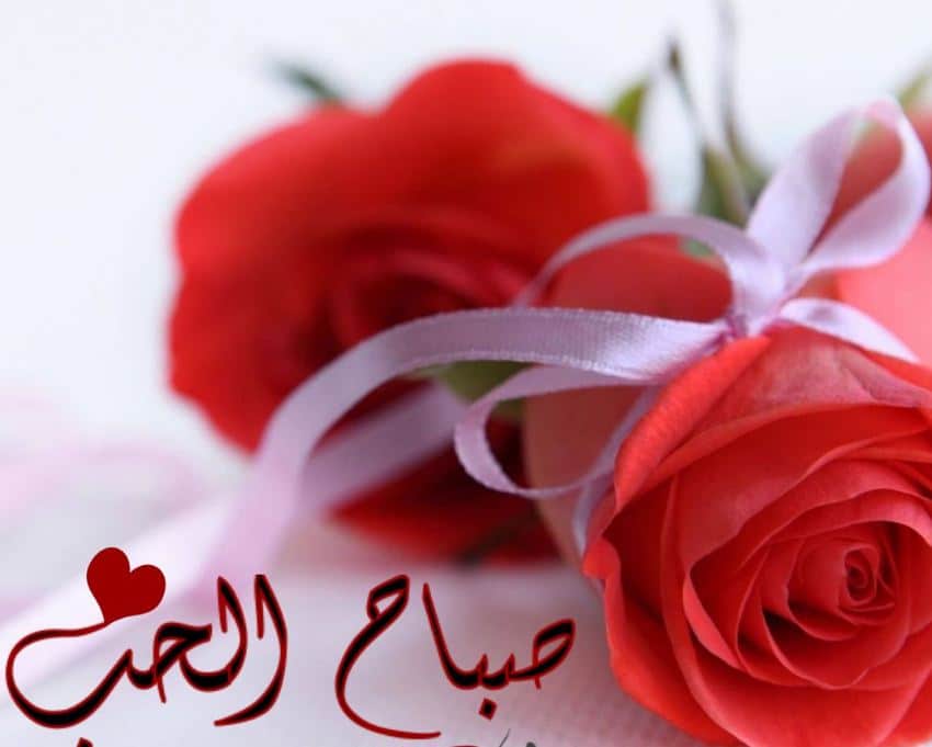 صباح الحب بالصور ٢