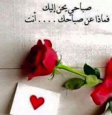 صباح الحب والشوق