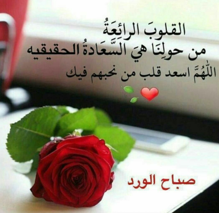 صباح الحب تويتر
