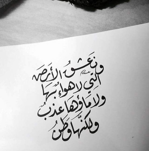 خواطر عن الوطن بالصور ١