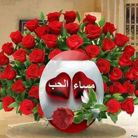 مساء الخير حبيبي بالصور 6