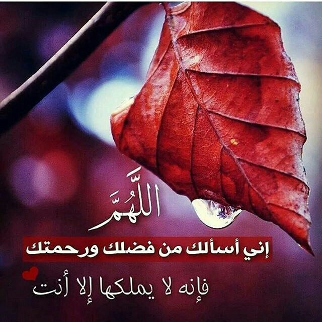 قصتي مع دعاء اللهم اني اسالك من فضلك وَرَحْمَتِكَ