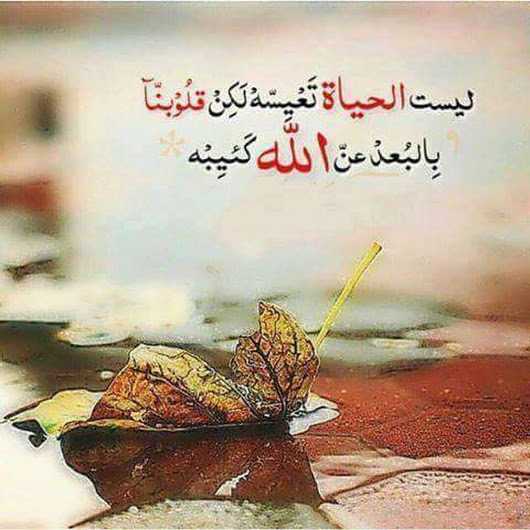 كلام محفز للحياة