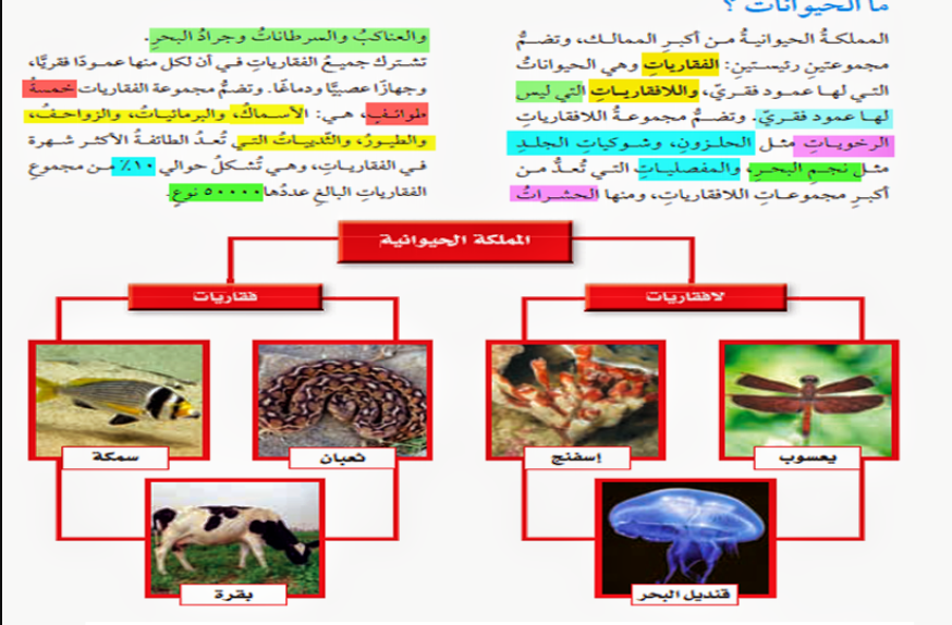 مطويات عن الثدييات 2