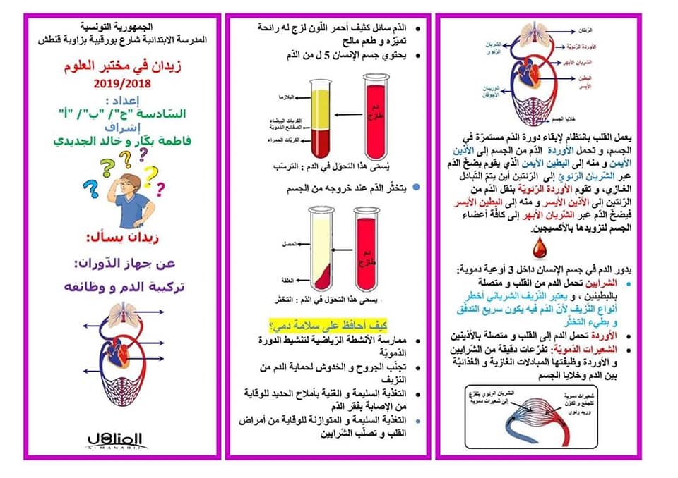 مطوية عن جهاز الدوران1